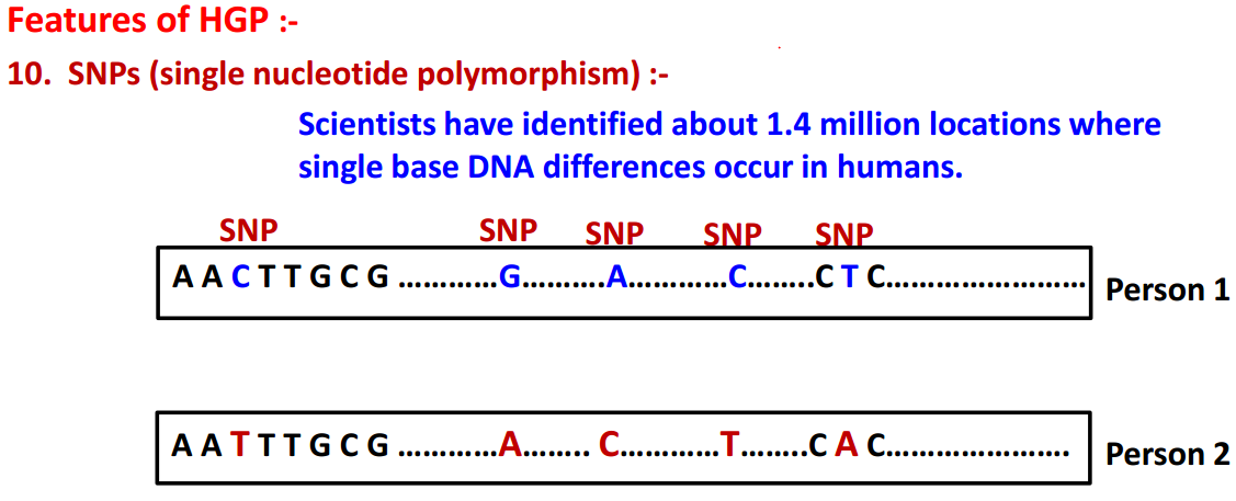 HUMAN GENOME PROJECT (HGP) - ProStudent